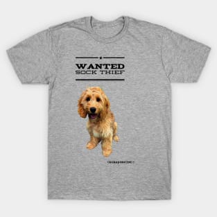 Cockapoo / Doodle Dog Sock Thief T-Shirt